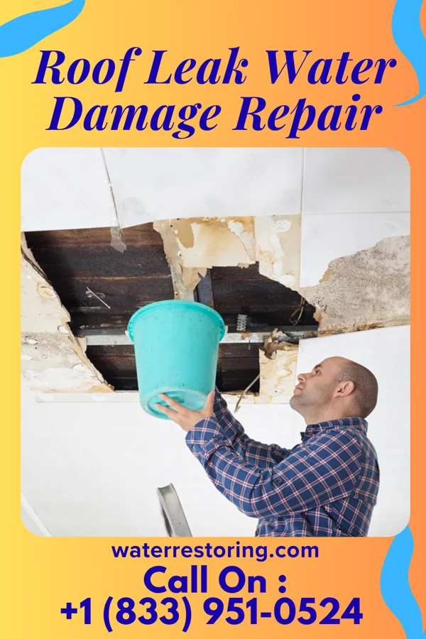 Roof Leak Water Damage Repair in Caldwell, ID